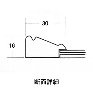 樹脂製/ネオ光輝断面図