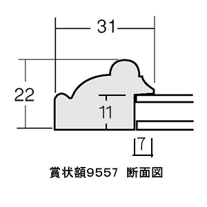 樹脂製/９５５７断面図